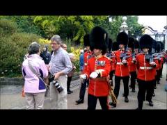 Queen Guards Are Like a Truck