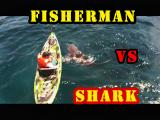 Shark Fisherman Kayak Attack