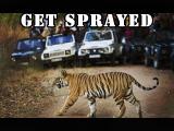 Breach Tiger’s Privacy And Get Sprayed