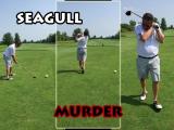 Seagull Murder