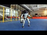 The Future of Dancing Robots Is Here, And It's Mind Blowing!